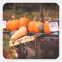 Citrouilles Sur Vieux Camion