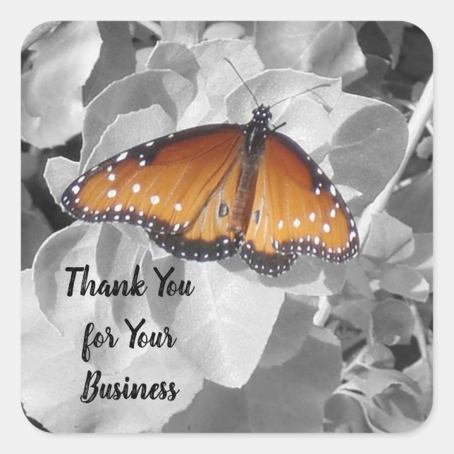 Sticker Carré Client Merci Monarch Butterfly Photo Client (Devant)