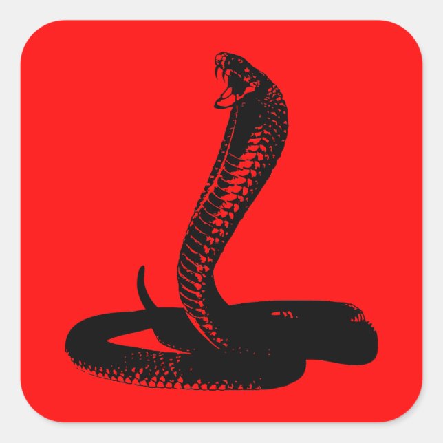 Sticker Carré Cobra - noir (Devant)