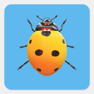 Sticker Carré Coccinelle Chanceuse