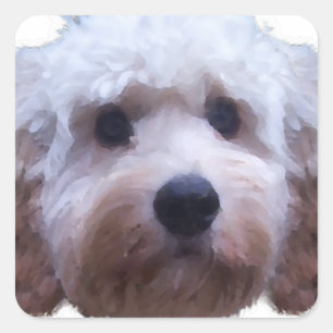 Sticker Carré Cockapoo Puppy