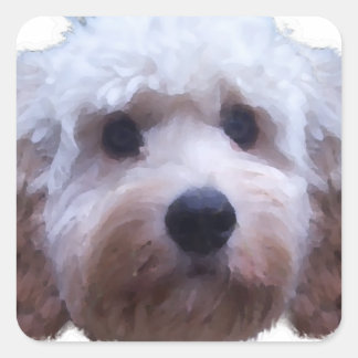 Sticker Carré Cockapoo Puppy