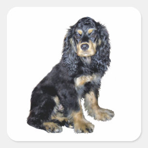 Sticker Carré Cocker Spaniel (noir et feu)