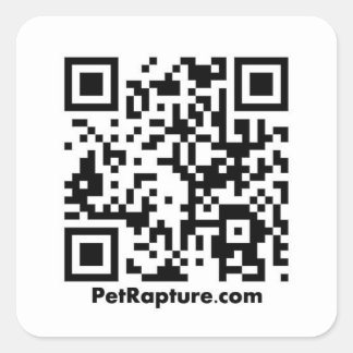 Sticker Carré Codes QR PetRapture
