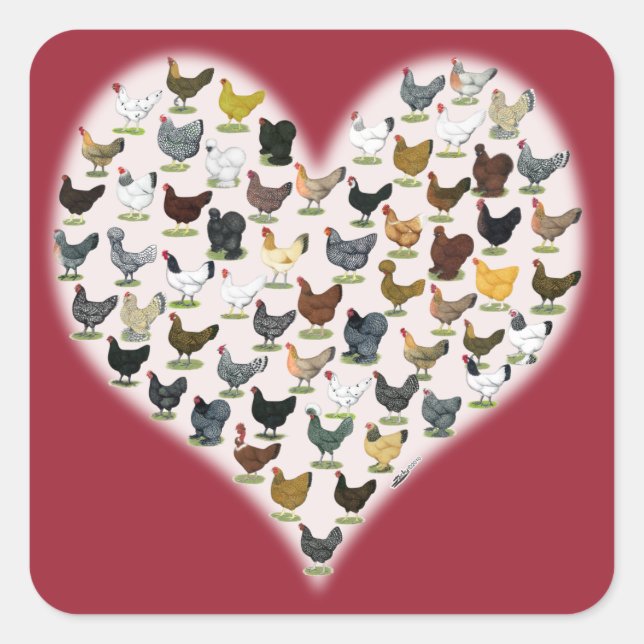 Sticker Carré Coeur de poulet (Devant)