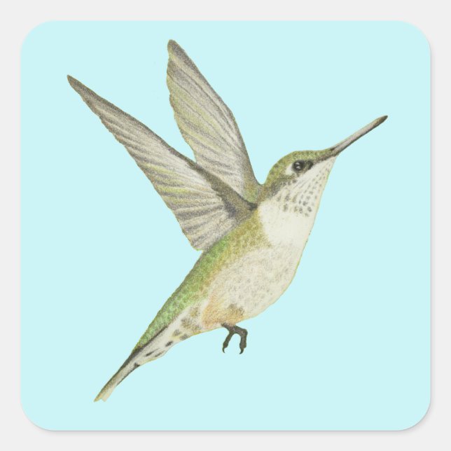 Sticker Carré Colibri (Devant)