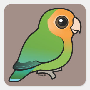 Sticker Carré Colibri à visage orange