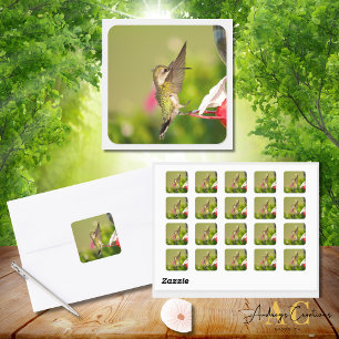 Sticker Carré Colibri Design  #108A0604