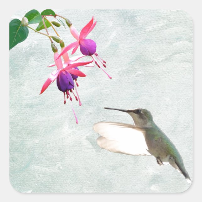 Sticker Carré Colibri et Fuschia (Devant)