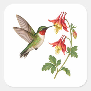 Sticker Carré Colibri vert à côté de fleurs sauvages rouges