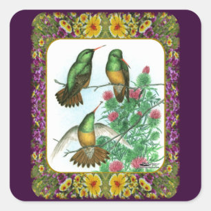 Sticker Carré Colibris et Fleurs #1