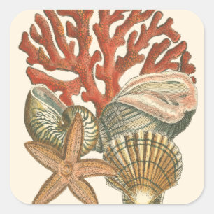 Sticker Carré Collection de vies marines