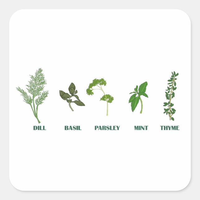 Sticker Carré Collection Herbes (Devant)