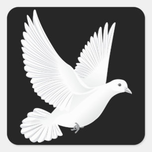 Sticker Carré colombe blanche