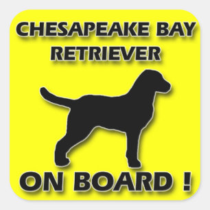 Sticker Carré Colonne d'autocollant de Chesapeake Bay Retriever