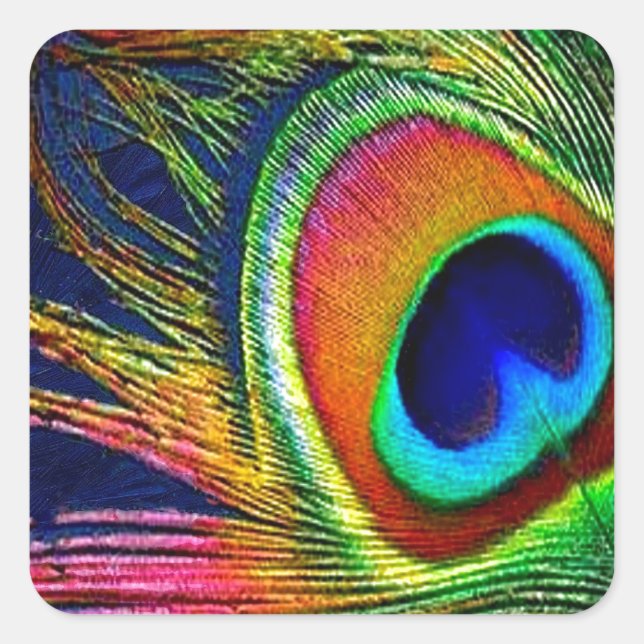 Sticker Carré Colorful Peacock Feather (Devant)
