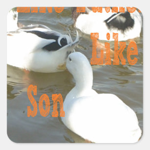 Sticker Carré Comme Père Comme Fils.