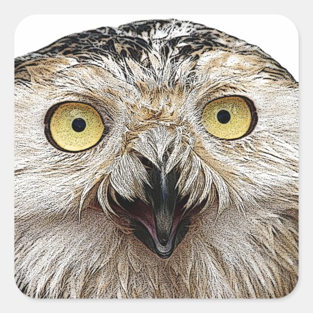 Sticker Carré Comment Es-Tu ? Owl Qui Êtes-Vous ? (Devant)
