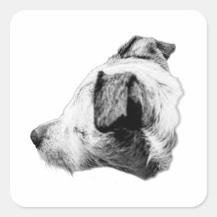Sticker Carré Compagnon dans le profil