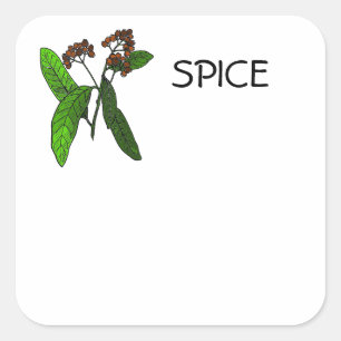 Sticker Carré Conception Allspice pour les informations d'identi