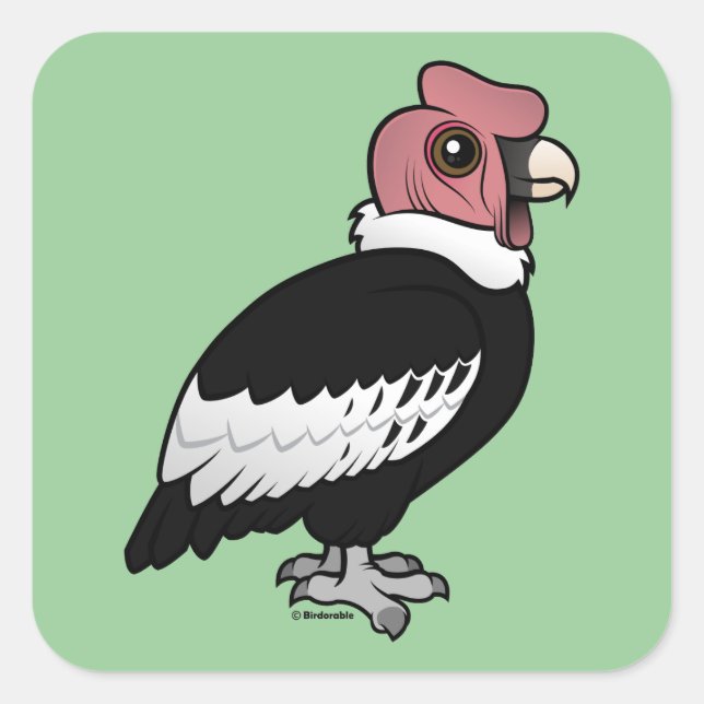 Sticker Carré Condor andin (Devant)
