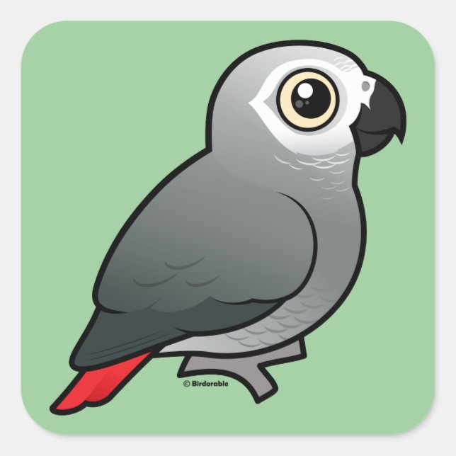Sticker Carré Congo African Grey (Devant)
