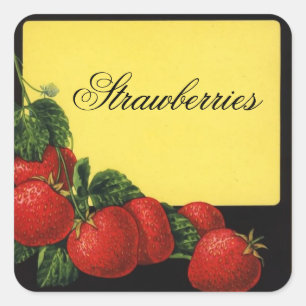 Sticker Carré CONSERVATION DE Fruits DE PÂTES, Canne