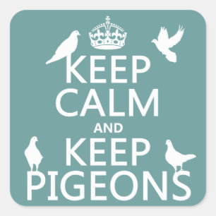 Sticker Carré Conserver le calme et garder les pigeons - toutes 