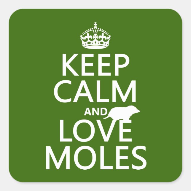 Sticker Carré Conserver le calme et l'amour Moles (n'importe que (Devant)