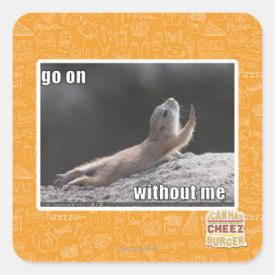 Sticker Carré Continuez avec moi