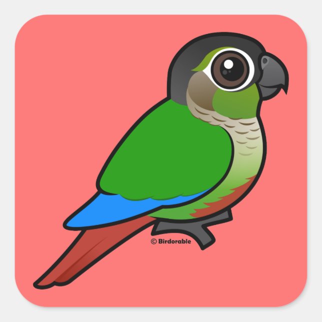 Sticker Carré Conure à joues vertes Birdorable (Devant)