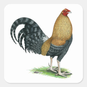 Sticker Carré Coq de combat :  Les DOM ou Crele