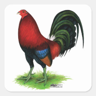 Sticker Carré Coq de combat :  Rouge foncé