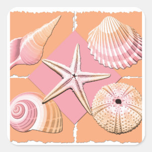 Sticker Carré Coques de mer roses et orange