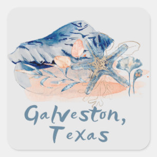 Sticker Carré Coquillages de Galveston Texas