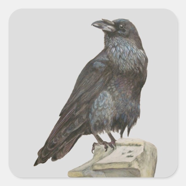 Sticker Carré Corbeau (Devant)