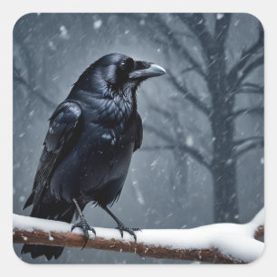 Sticker Carré Corbeau noir foncé