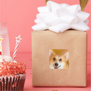 Sticker Carré Corgi Face