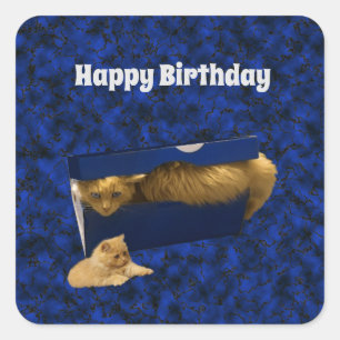 Sticker Carré "Cosy Hideaway : The Ginger Cat in the Shoe Box"
