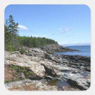 Sticker Carré Côte de l'île Bar au parc national d'Acadia