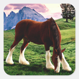 Sticker Carré Coucher du soleil de Clydesdale