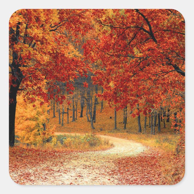 Sticker Carré Couleurs saisonnières de l'automne (Devant)