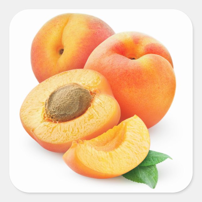 Sticker Carré Couper les abricots (Devant)