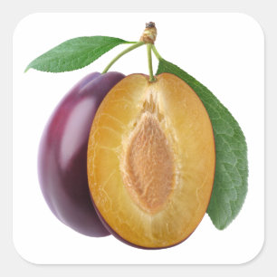 Sticker Carré Couper les prunes