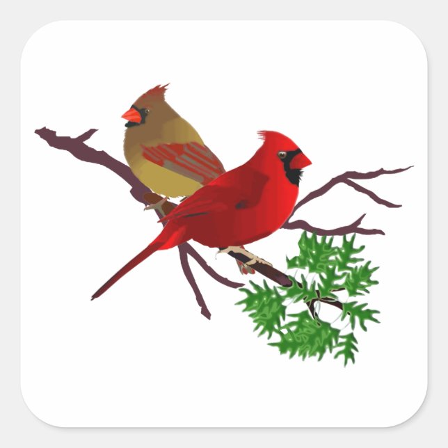 Sticker Carré Couple cardinal sur une branche (Devant)