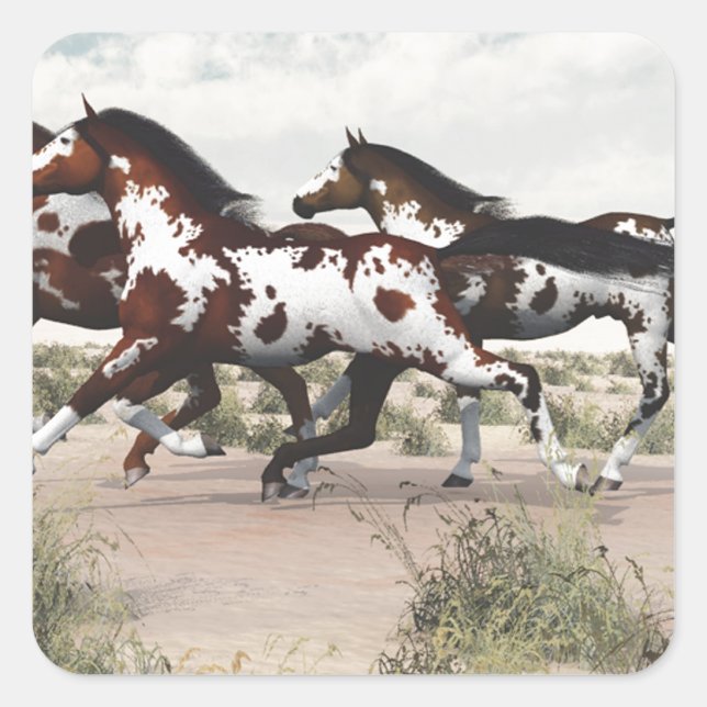 Sticker Carré Courez comme le vent - Galloping Paint Horses (Devant)