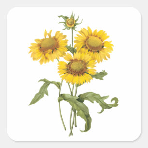 Sticker Carré Couverture Fleur de Blanket Tournesol Floral Vinta