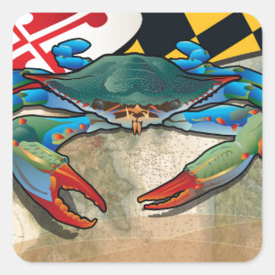 Sticker Carré Crab bleu du Maryland
