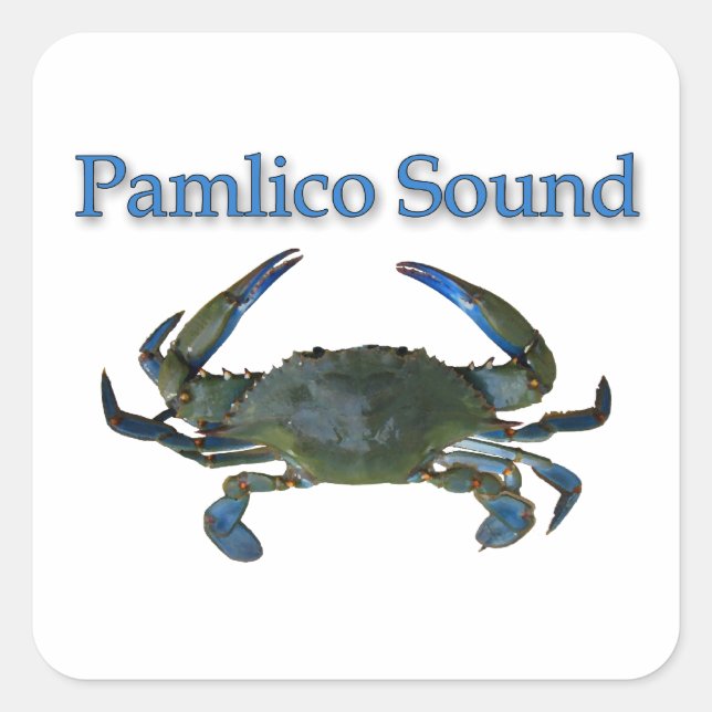 Sticker Carré Crabe bleu Pamlico Sound (Devant)