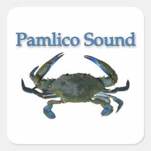 Sticker Carré Crabe bleu Pamlico Sound
